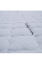 Στρώμα Amoenus